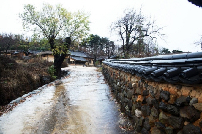 뒷마당의 담
