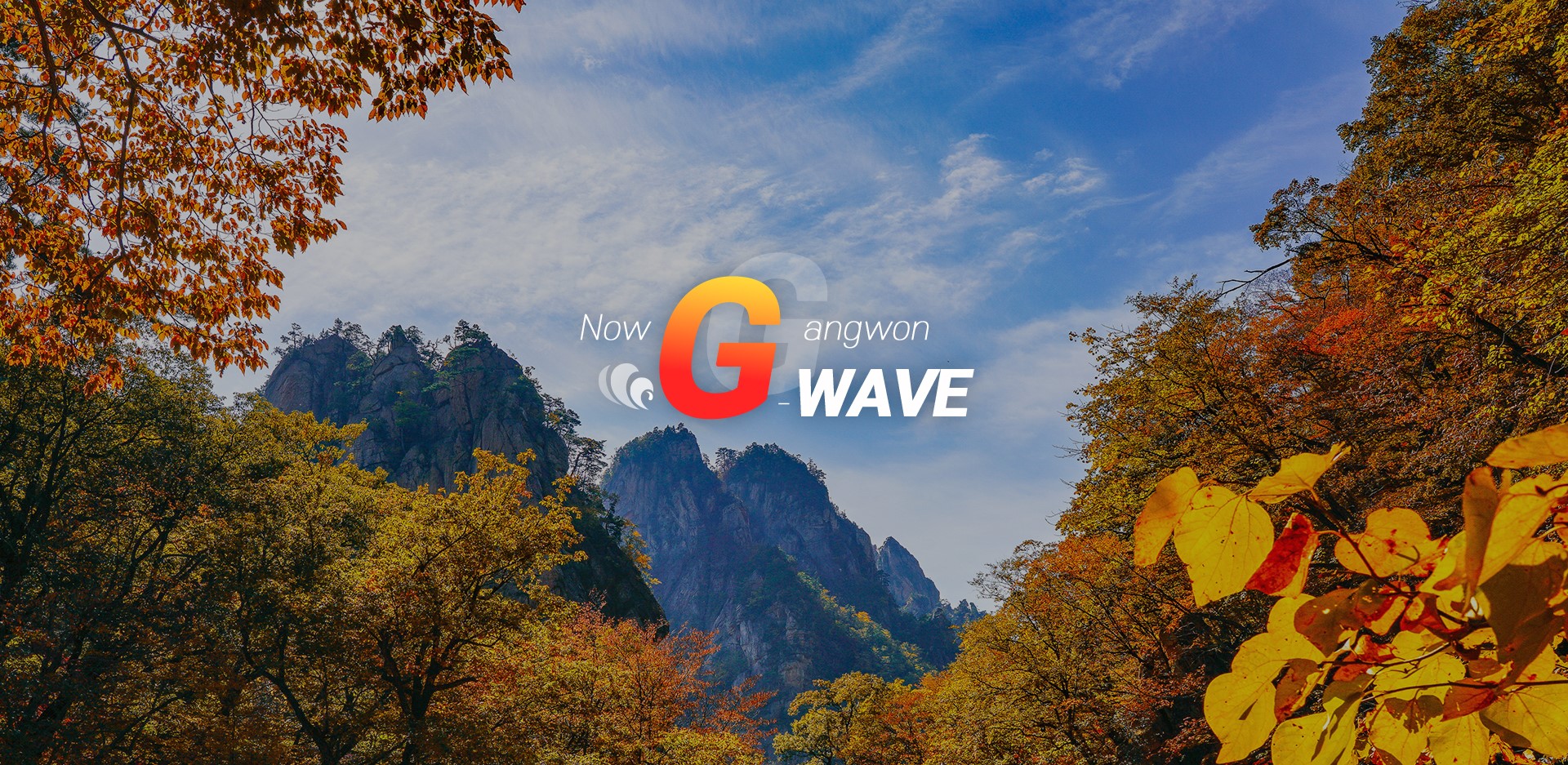 now gangwon G WAVE