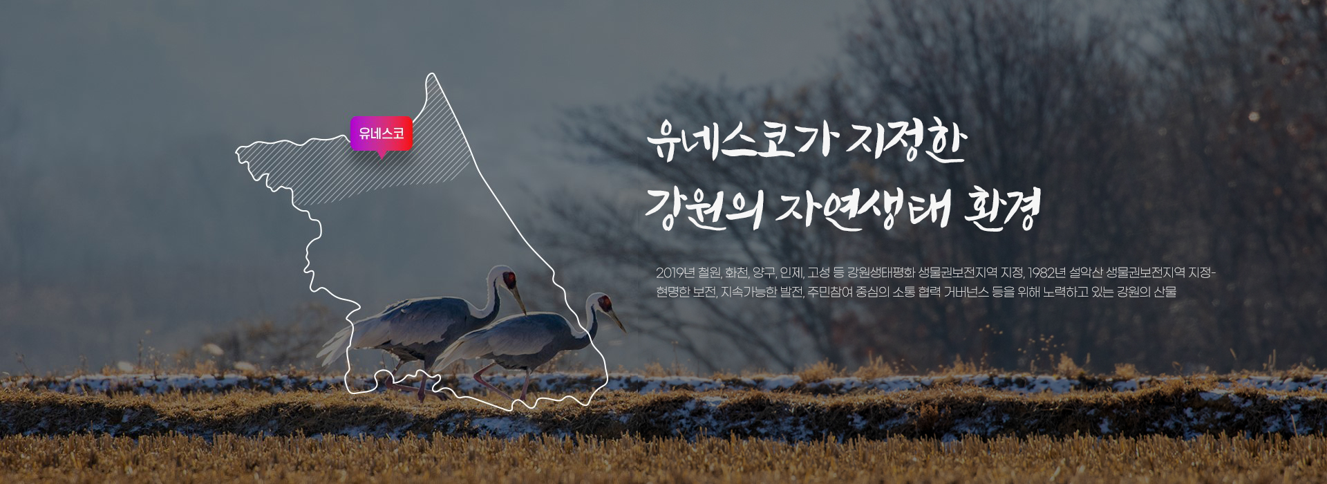 유네스코가 지정한 강원도의 자연생태 환경