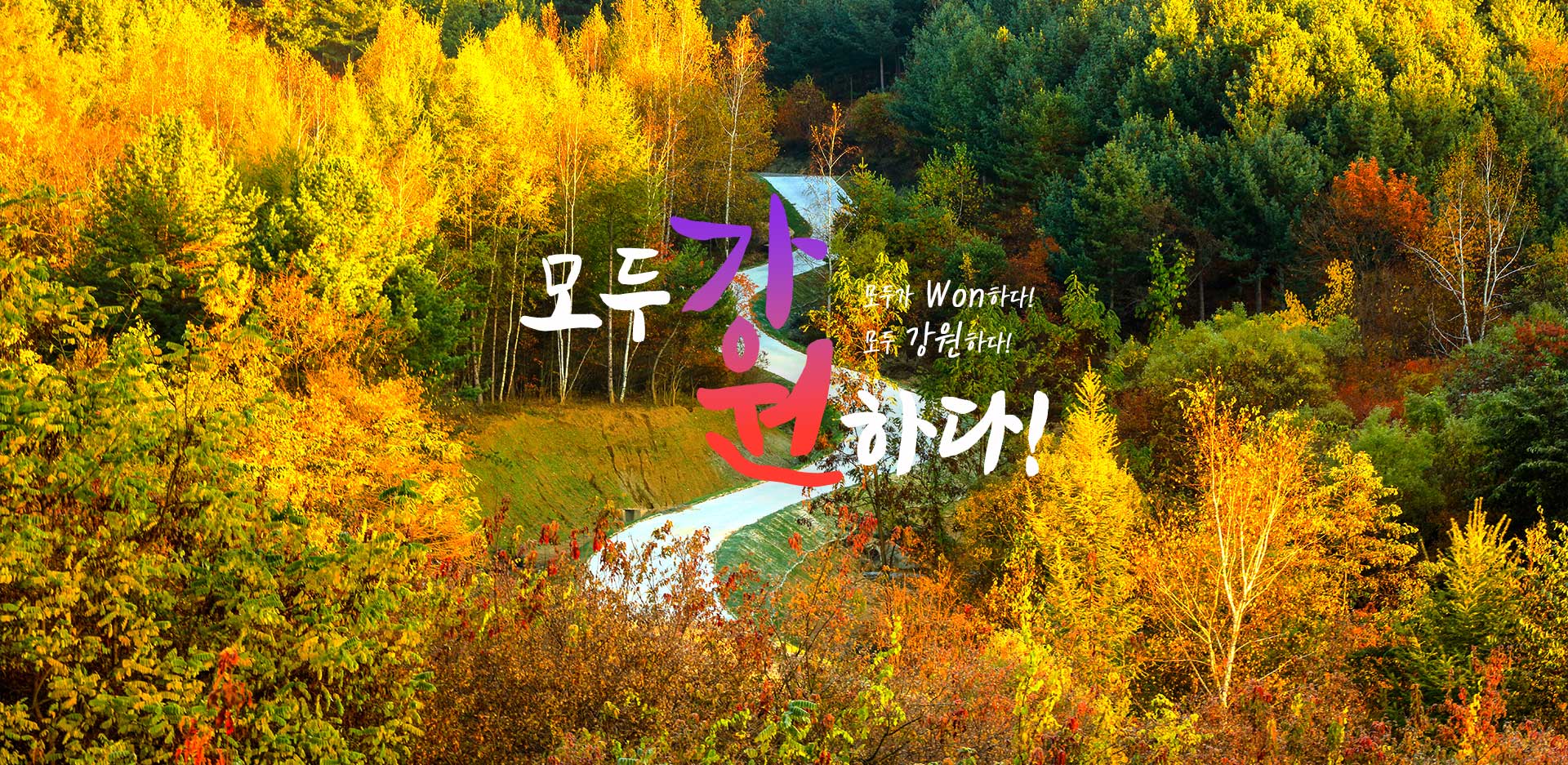 모두 강원하다!