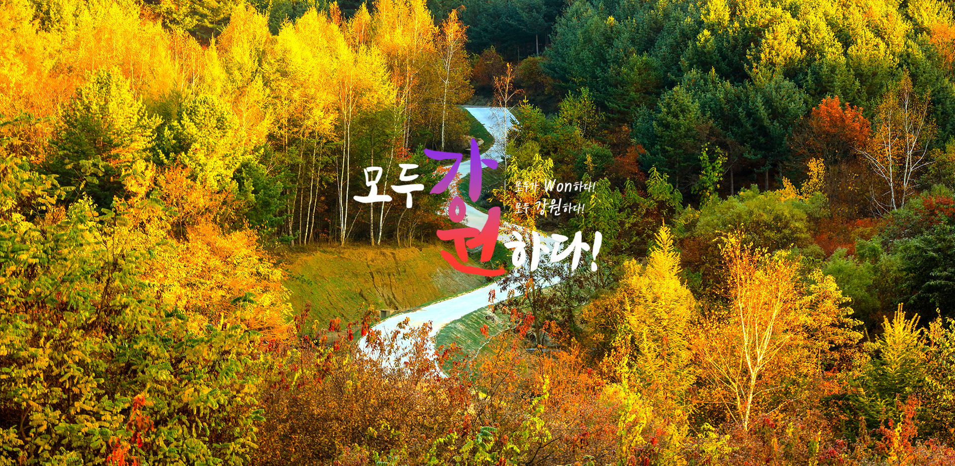 모두 강원하다!