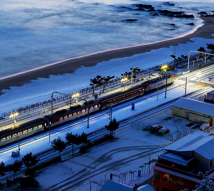 모두 강원하다!