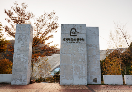 이미지20