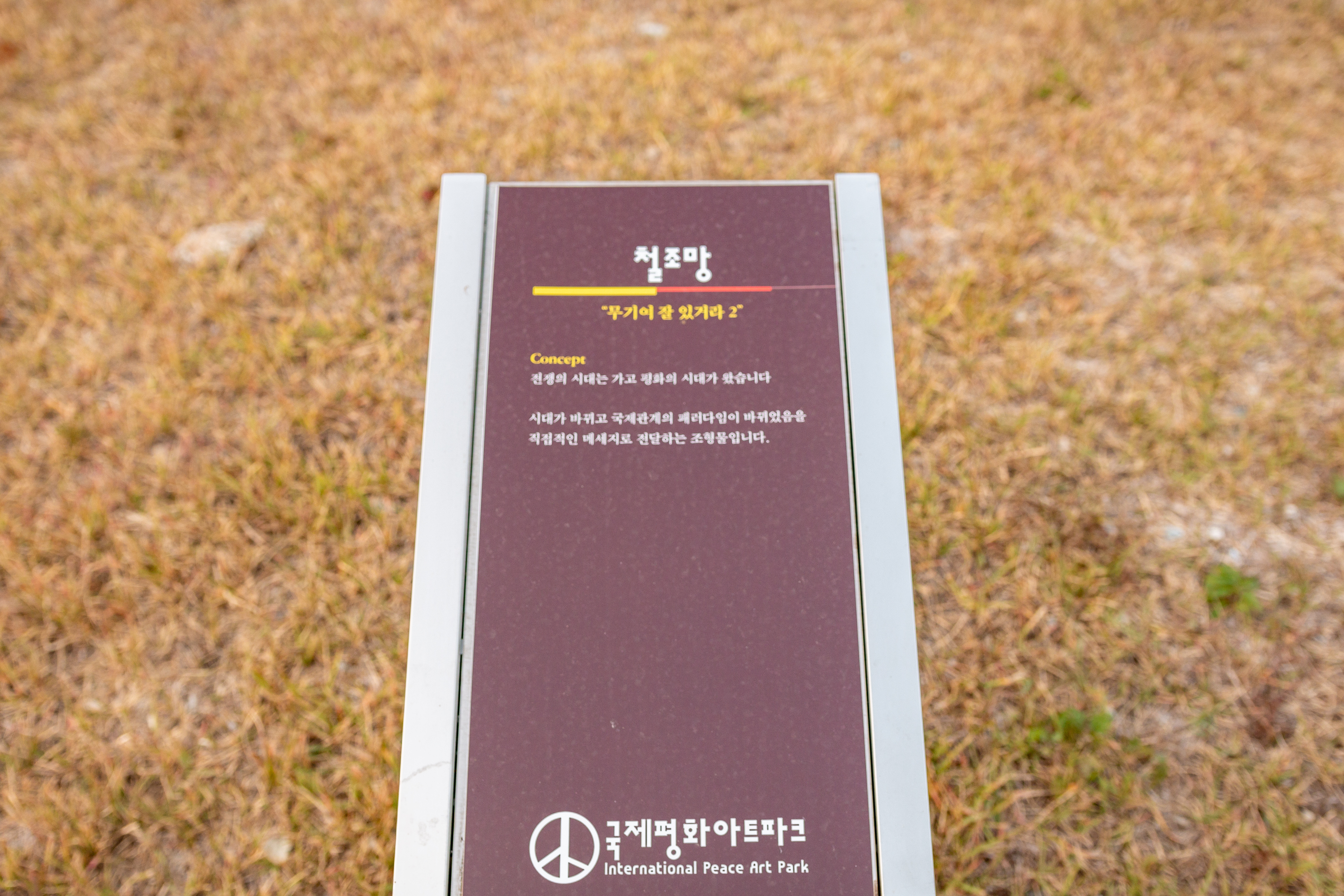 이미지31