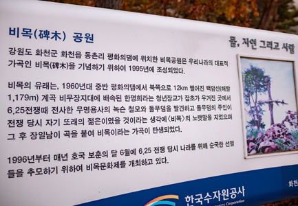 이미지48