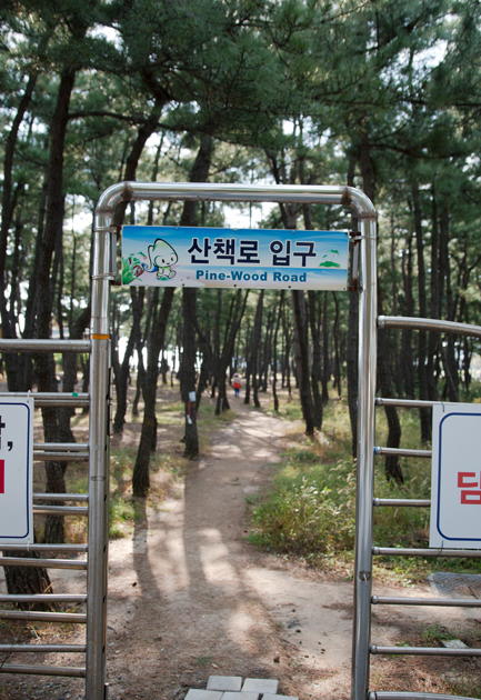 이미지09