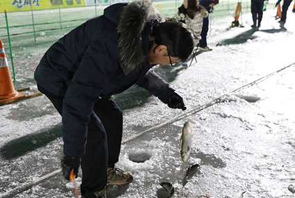 夜間釣り