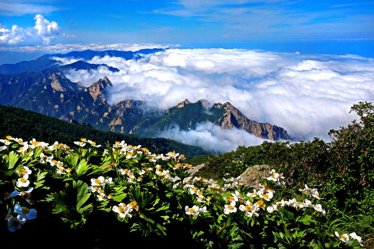 The wind of Daecheong Peak