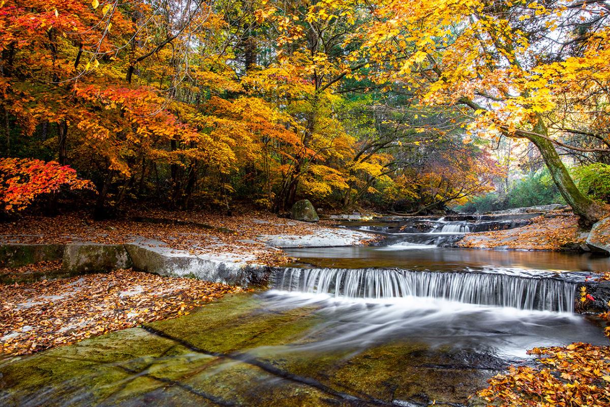 The end of autumn