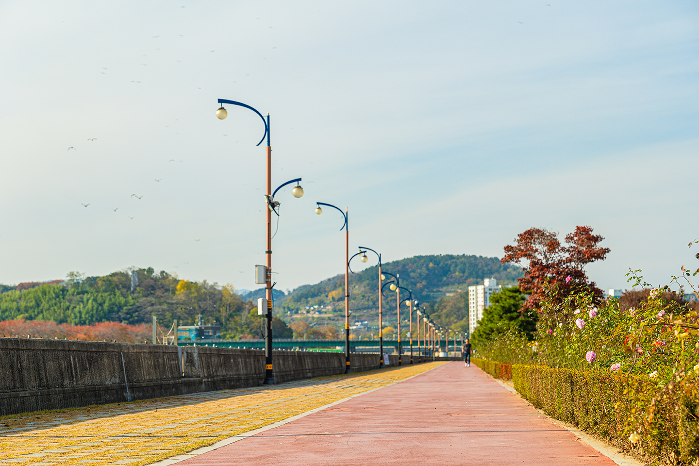 삼척장미공원