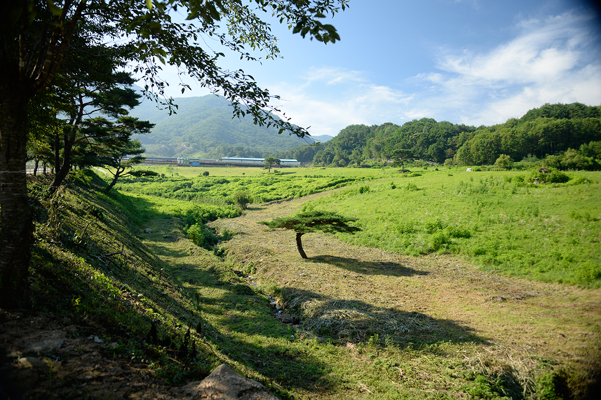 화천 케이램 대성목장