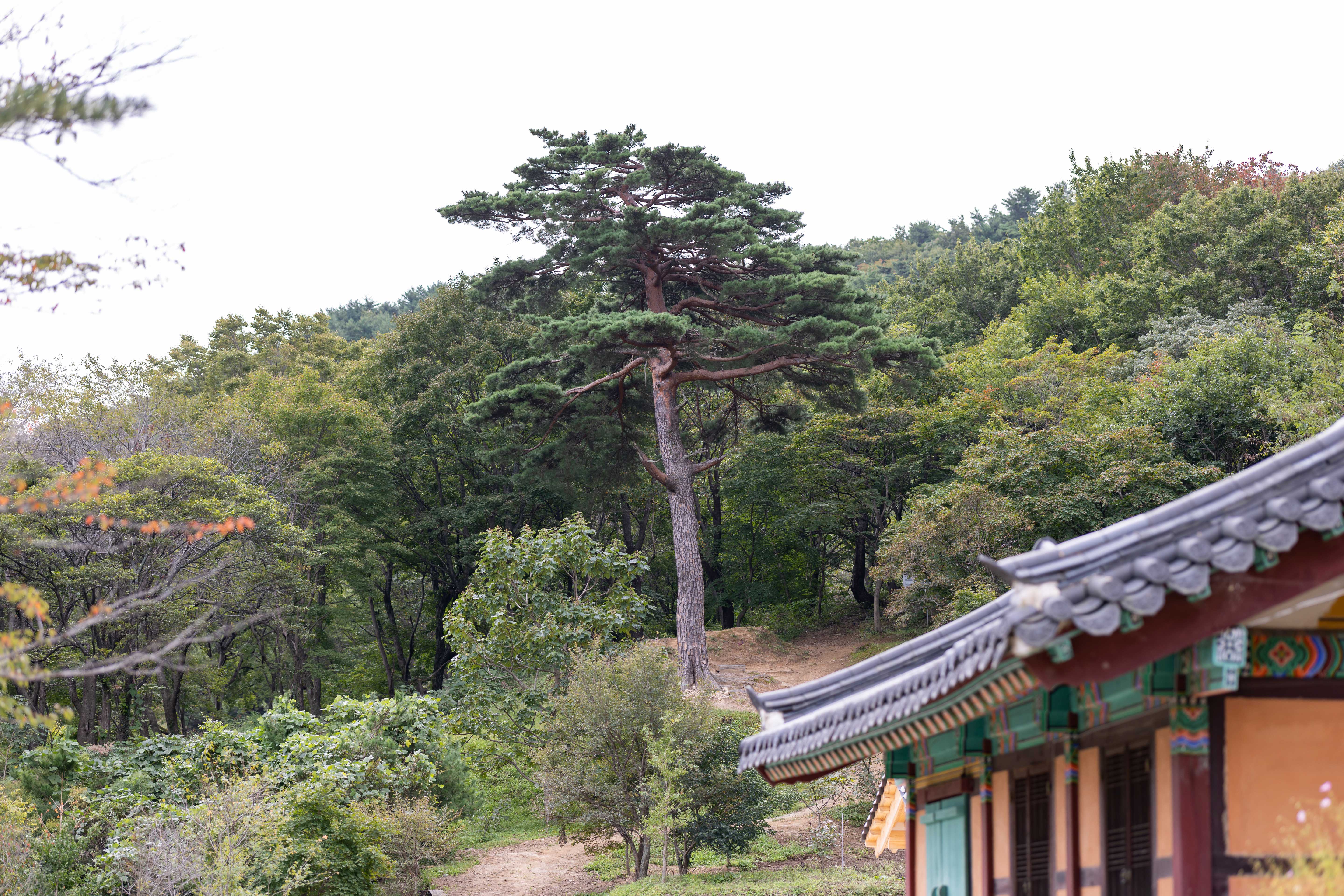 건봉사