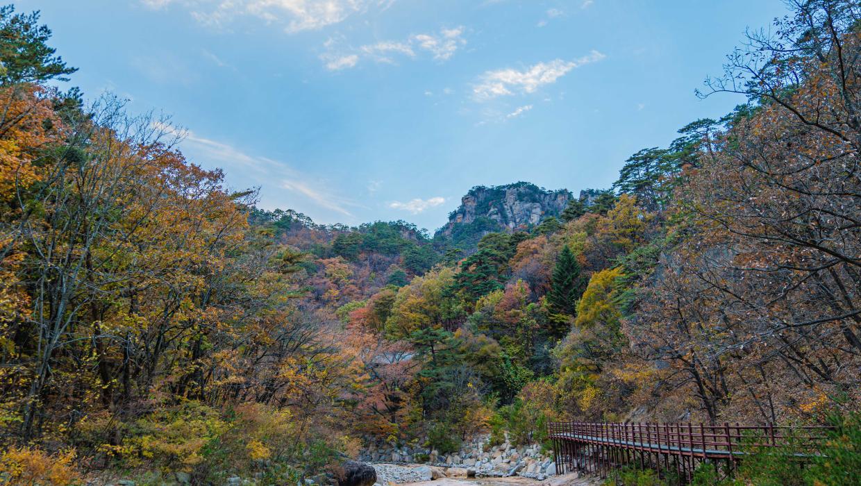 오색(주전골, 약수)