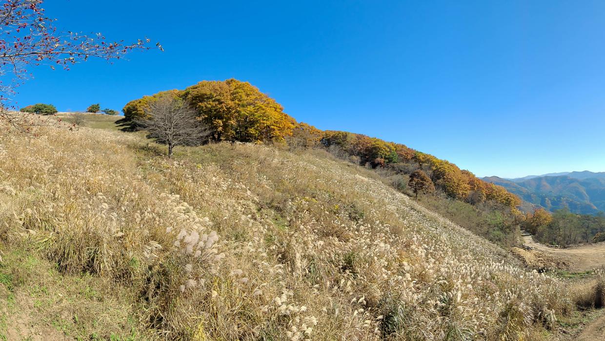 민둥산