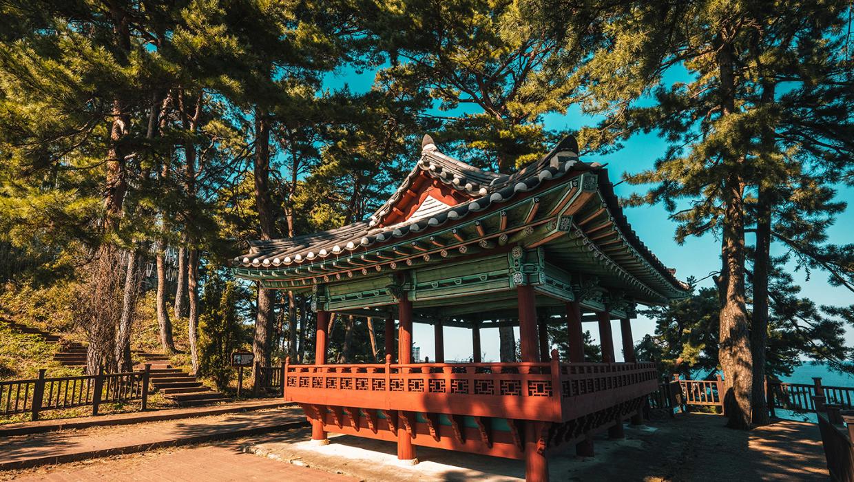죽도정