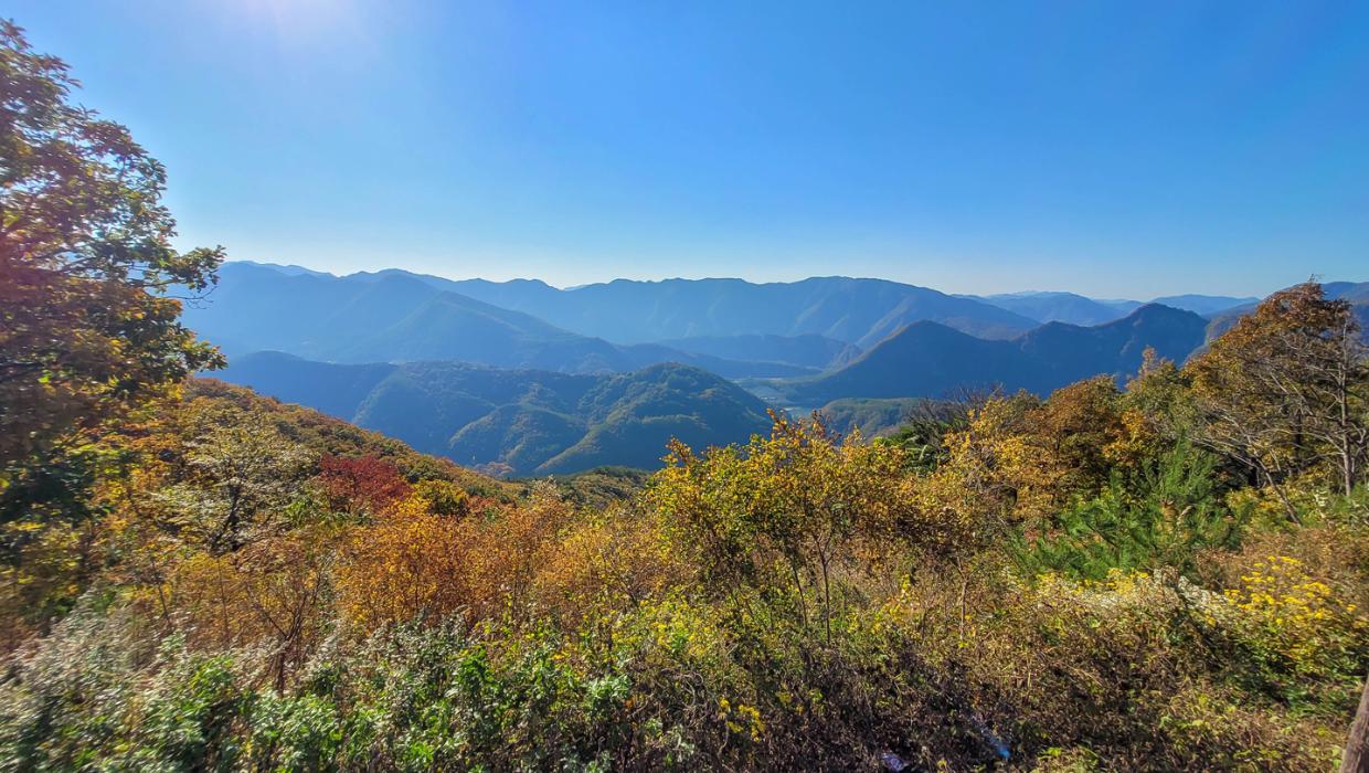 동강전망자연휴양림