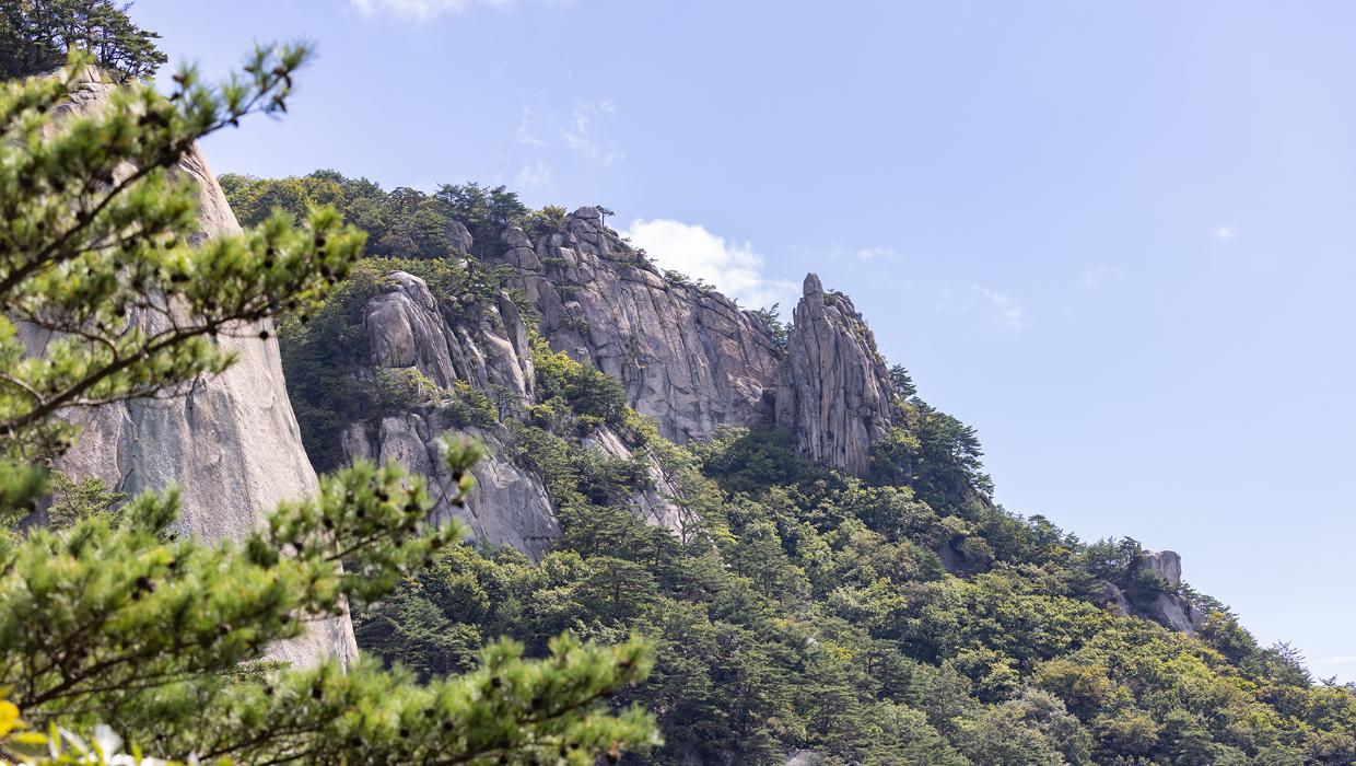 용화산