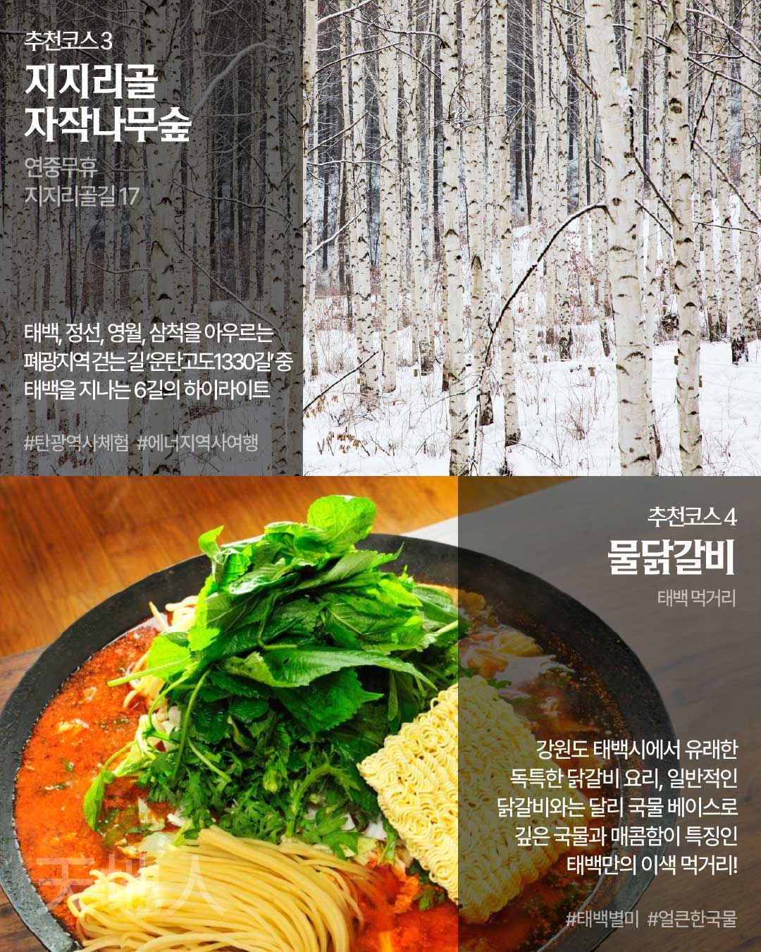 1월 추천 여행지 카드뉴스4