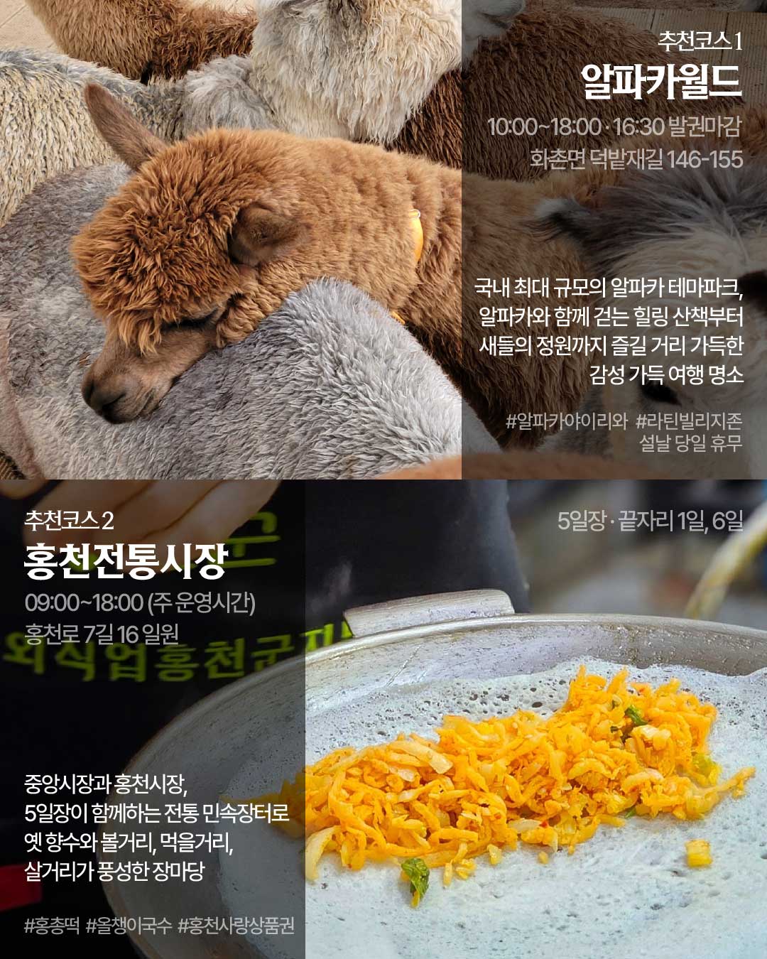 1월 추천 여행지 카드뉴스7