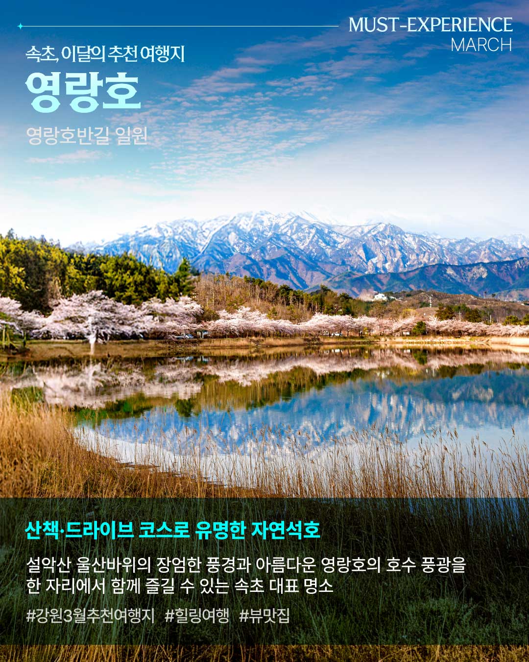 2026년 강원방문의 해 3월 추천여행지 카드뉴스3