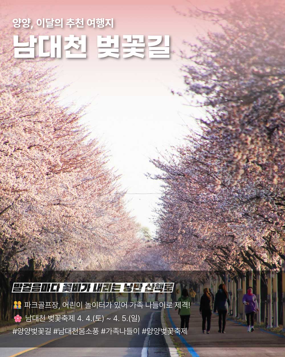 2026년 강원방문의 해 4월 추천여행지(양양) 카드뉴스3