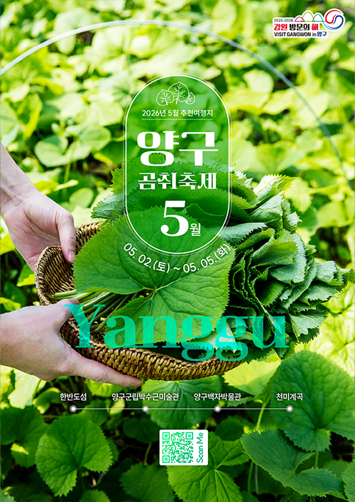 양구 곰취축제