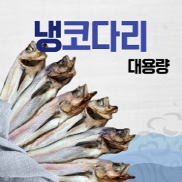 임시이미지