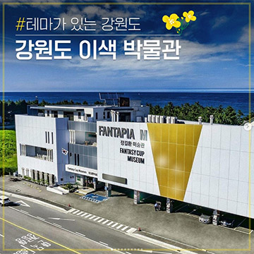 [인스타그램]강원 이색 박물관