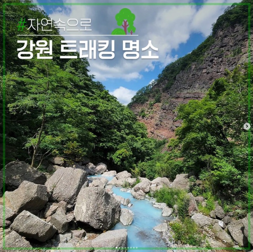 [인스타그램]트래킹