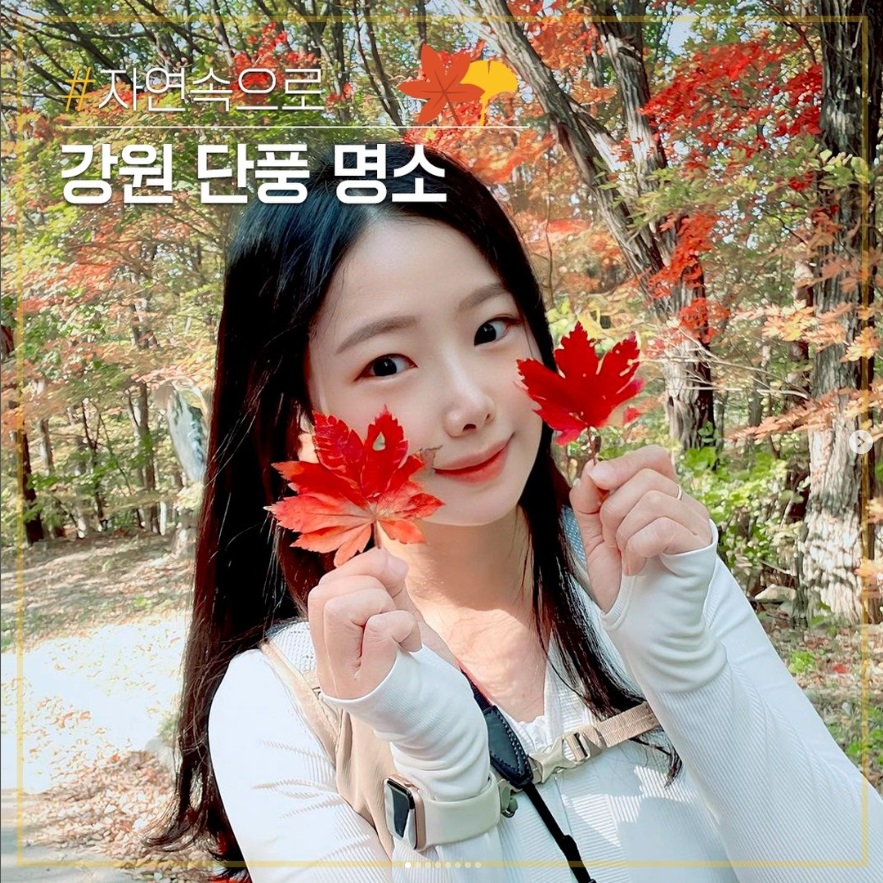 [인스타그램]단풍